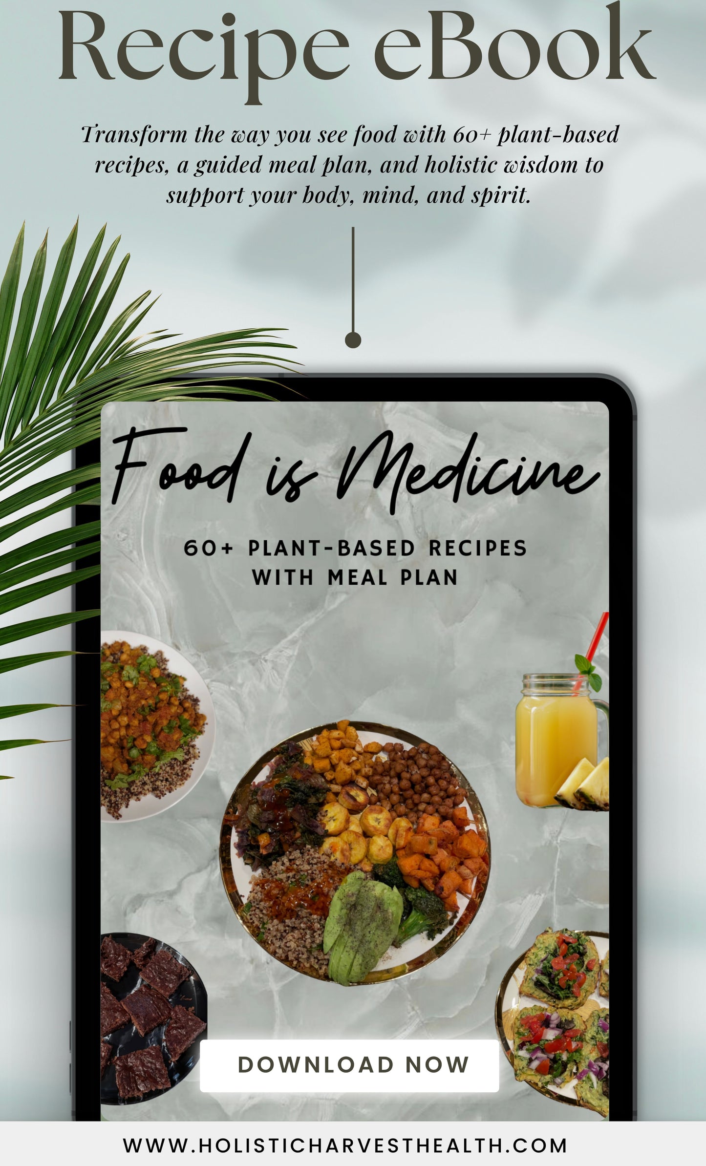 food is medicine recipe ebook